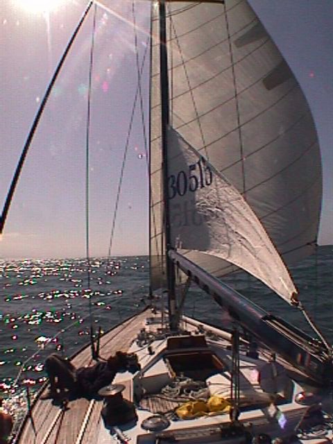 baltic59.jpg