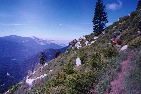 97trek98.jpg