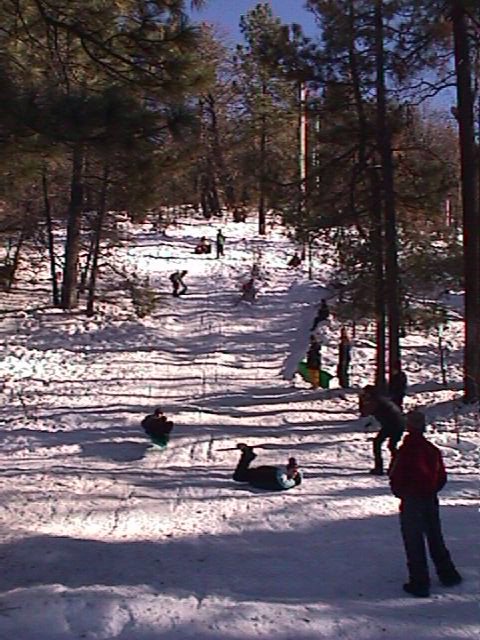 01snow50.jpg