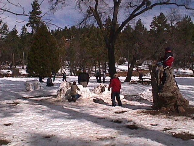 01snow84.jpg