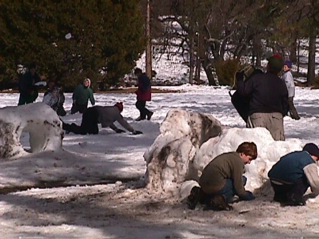 01snow85.jpg