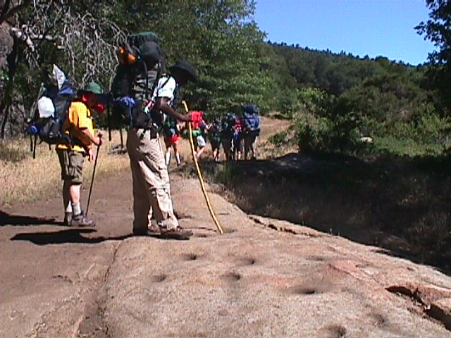 arseco02.jpg