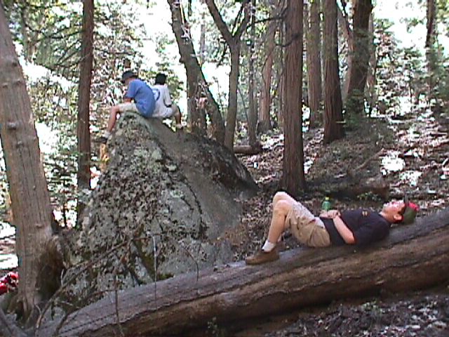 arseco04.jpg