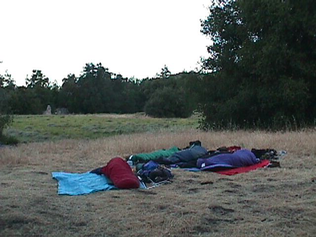 arseco56.jpg