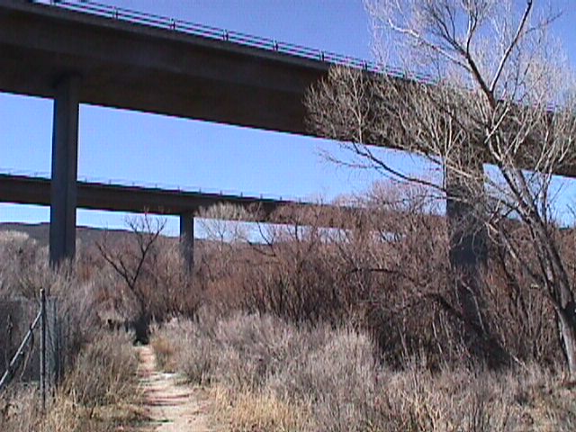 02pct099.jpg