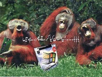 What are humans doing? - Ye Cheez