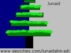 Hanging Gardens