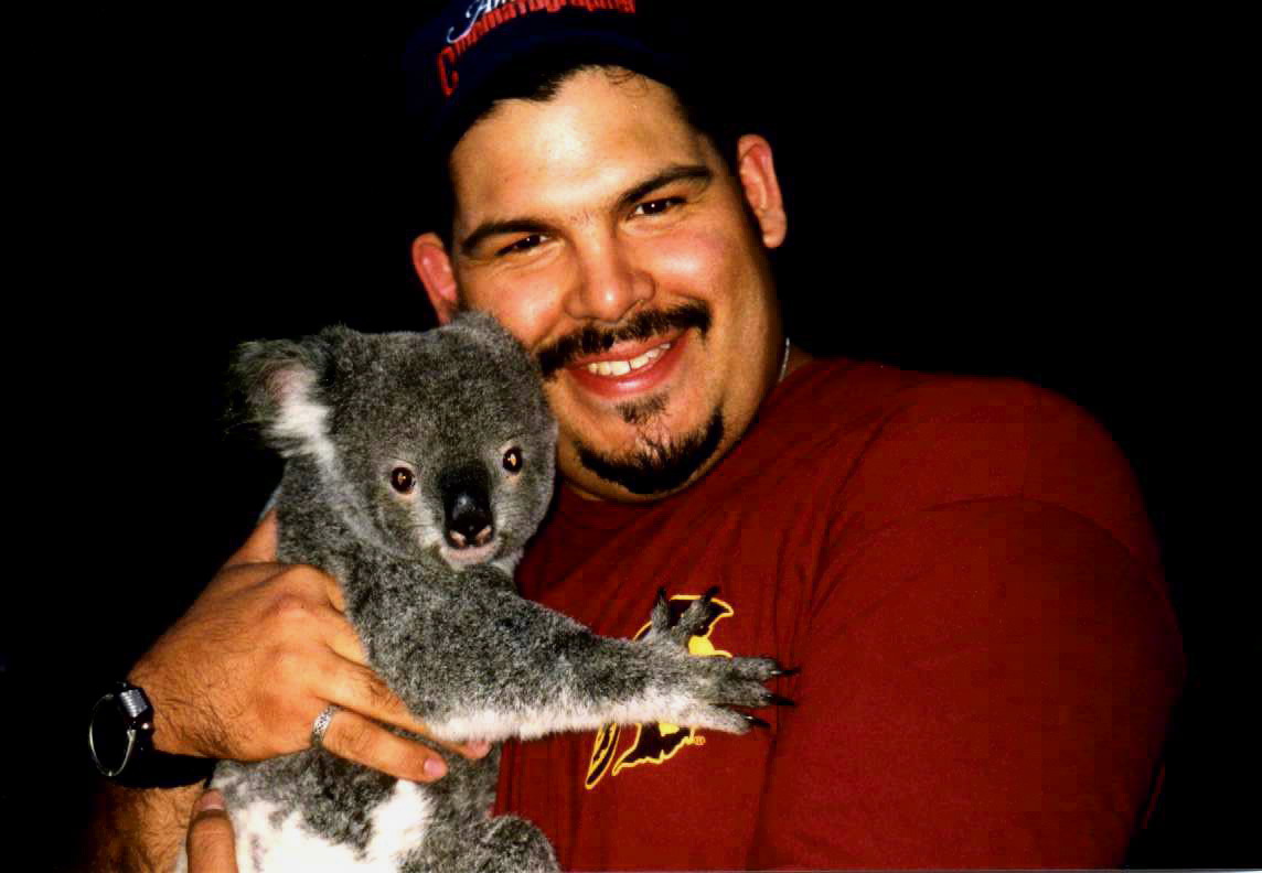 Koala