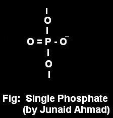 Phosphate