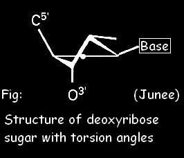 Torsion angles
