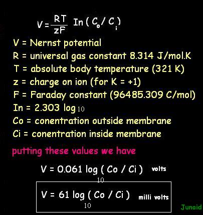 derivation of Nernst equation