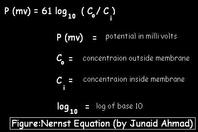 Nersnst Equation