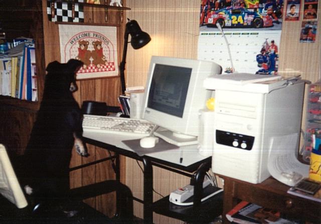 BJ hounding the internet