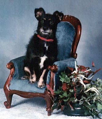 Our Queen has her throne