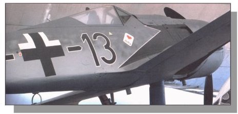 Close up of the canopy.