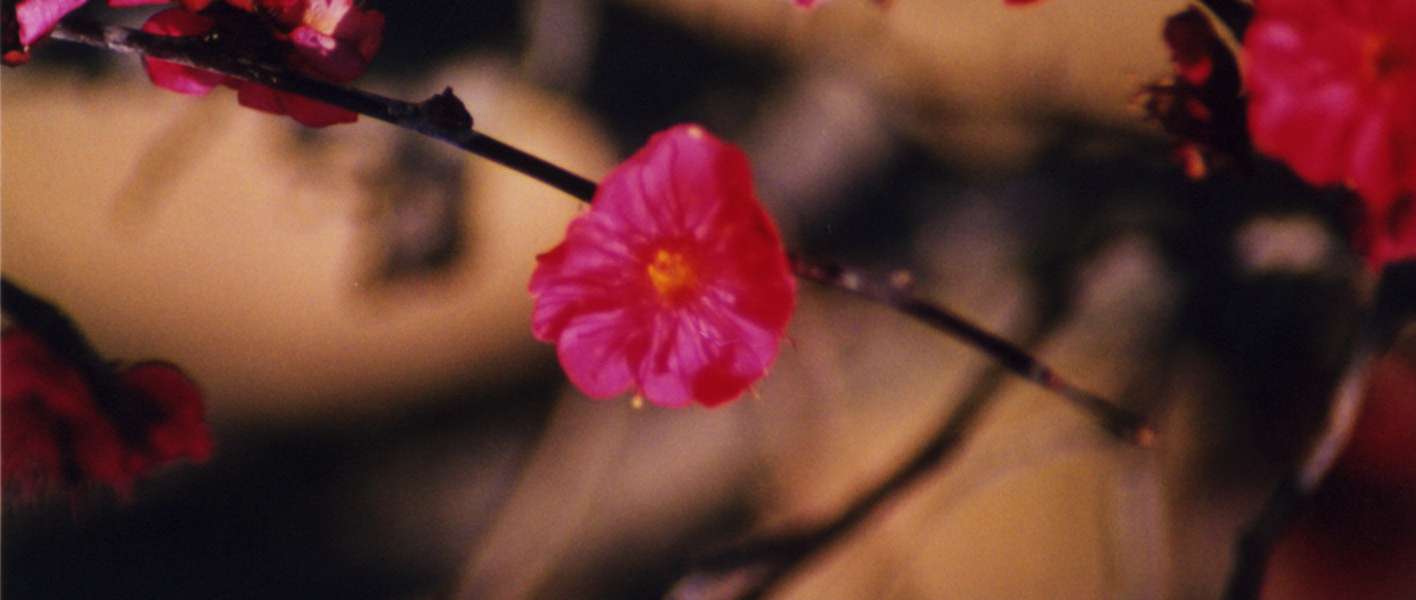ume04.jpg