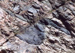 000714bt.JPG (376634 bytes)