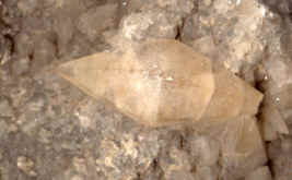 Calcite3.JPG (41454 bytes)