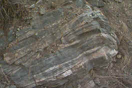 000315at_Gneiss_at_Shaffers_Crossing_2.jpg (197204 bytes)