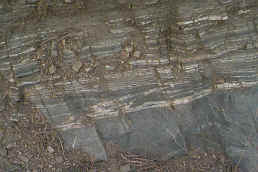 000315ax_Gneiss_at_Shaffers_Crossing_5.jpg (184354 bytes)