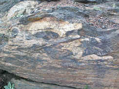 000717ac Detail of outcrop 000717ab - Pytgmatic folds.jpg (185252 bytes)