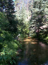000717aj Ben Tyler Trail - path about 1.5 miles back.jpg (97769 bytes)
