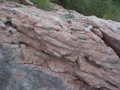 000723ap Garo closeup 62 miles s of Como.jpg (155827 bytes)