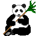 Click for Home