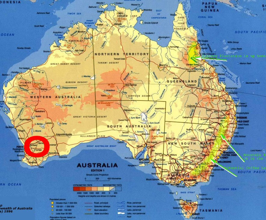 Perth assessing condition of used plant