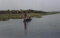 The traditional way of delivering things on the lake - by boat and pole!