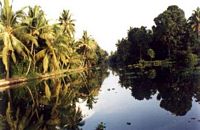 The view of the backwaters