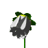 c bo la nature