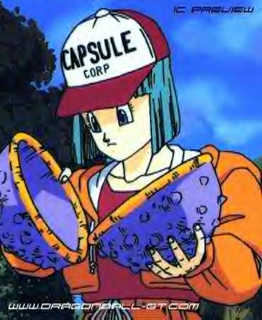 /user/Bulma_IC.jpg