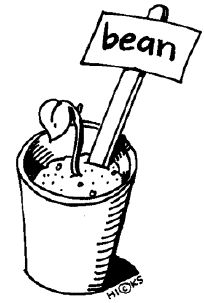 clip art of a bean sprout