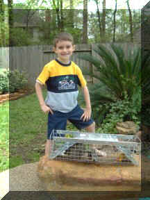 Nate the Trapper