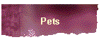 Pets