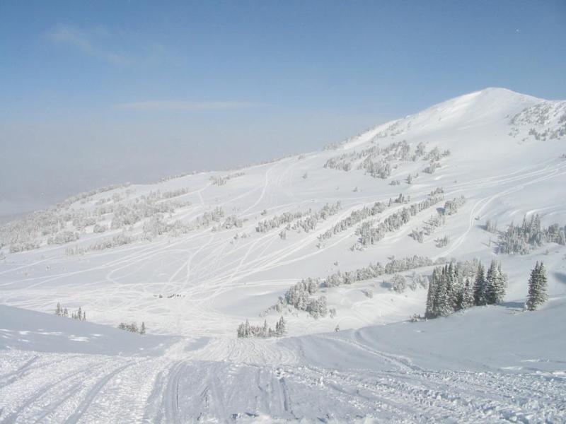 Back of Daisy Pass