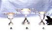 Trophies
