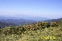 PIC_8