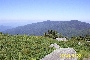 PIC_9