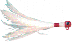 2 - Peso: 10g, Comp: 8cm, Anzol: 10