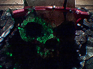 Digitalis - Oppenhiemer's Reliquary V2, Digital Print, C.2005 RFSP