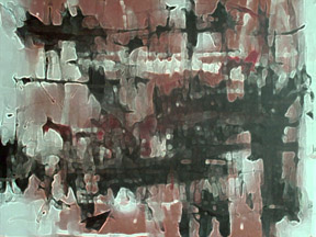 Digitalis - Signal To Noise, Digital Print, C.2005 RFSP