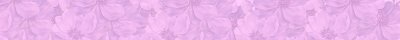Banner1
