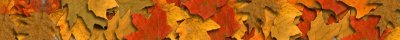 Banner 13