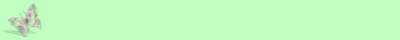Banner 17