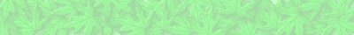 Banner 18