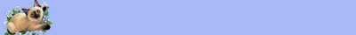 Banner 19