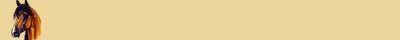 Banner 20