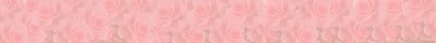 Banner 23